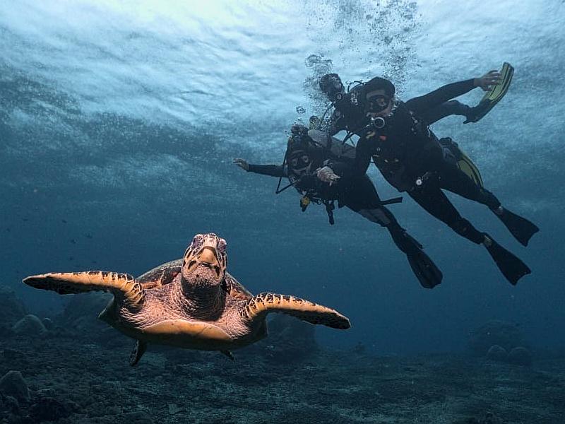 diving activities at nusa penida